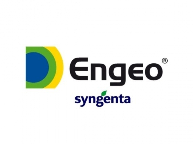 ENGEO ®